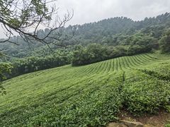 -敬亭山风景名胜区