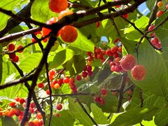 -boundaries籬苑(瑞光创意工厂-贰号院店)