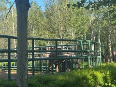 -秦皇岛野生动物园