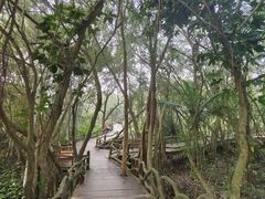 -海口火山口国家地质公园