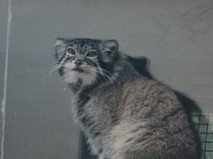 -青藏高原野生动物园