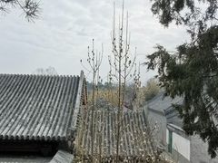 -颐和园