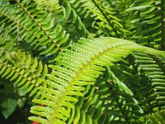 -北京植物园-展览温室