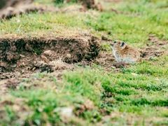 -扁都口生态休闲旅游区