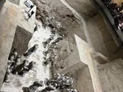 -秦始皇帝陵博物院(兵马俑)