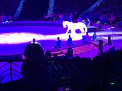 -珠海横琴长隆《卡卡虎奇遇记》