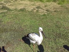 -普洱太阳河森林公园
