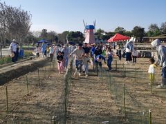 -武汉紫薇都市田园