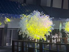 -上海环球金融中心骑迹50年环球之旅