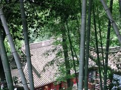 -韬光茶庵