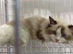 -iF摄影•全家福•证件照•形象照(南山店)