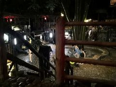 -天门沟九州驿站树上汤泉