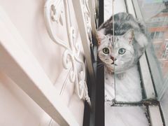 -汉密哈顿(解放路1段店)