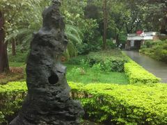 -荔枝公园(福田区)