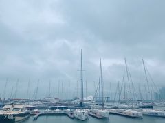 -青岛海尔洲际酒店