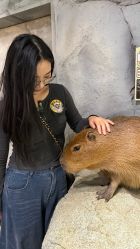 -Zoolung Zoolung动物主题公园(海信广场店)