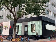 -BLACKSWAN黑天鹅(环球店)
