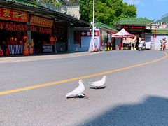 -悦城龙母祖庙