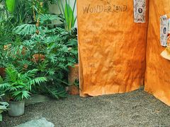 -禧室Joyous Lounge(禧园店)