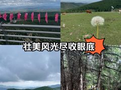 -苏木山森林公园