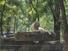 -秦皇岛野生动物园