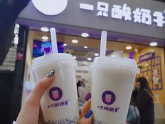 -一只酸奶牛(八一路店)