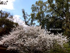 -热田神宫