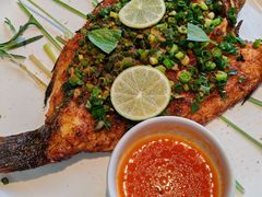 -一坐一忘云南菜(三里屯店)