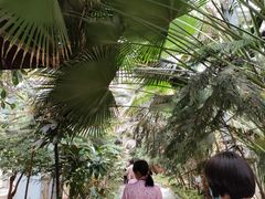 -龙达温泉生态城