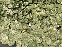 -苏州太湖湖滨国家湿地公园