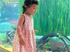 -海合安成都极地海洋公园