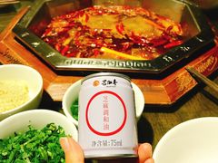 -蜀九香火锅(九眼桥店)