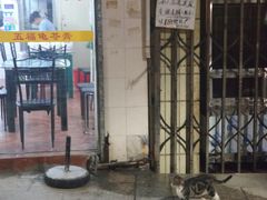 -五福堂龟苓膏(河东北山店)