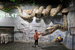 -Zoolung Zoolung动物主题公园(海信广场店)