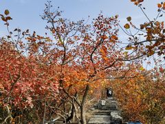 -周口店坡峰岭风景区