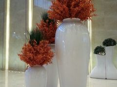 android_upload_pic-上海中星雅高铂尔曼大酒店