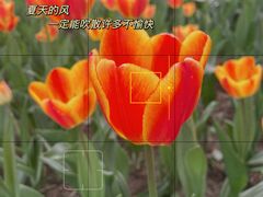 -长春公园(普阳街道)