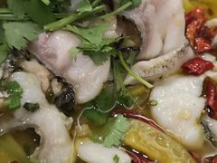 -老东吴食府(雅都店)
