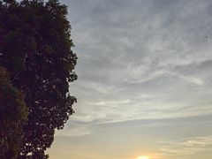 -黄埔油麻山森林公园