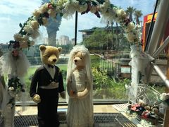 -济州岛泰迪熊博物馆