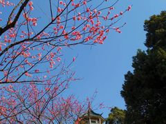 -无锡梅园公园