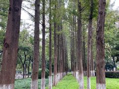 -后襄河公园