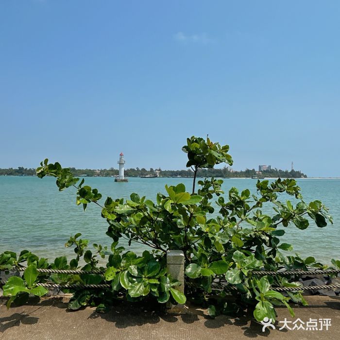 清澜半岛航天渔人码头图片