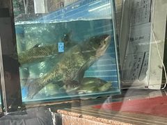 -红烧鱼头·杭帮菜·特色烧烤