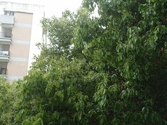-福州大学(旗山校区)