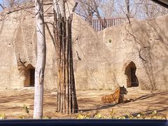 -秦皇岛野生动物园