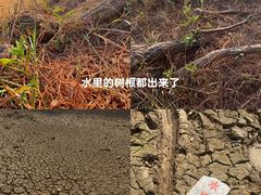 -青龙山国家森林公园