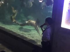 -南昌海洋公园
