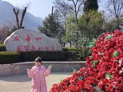 -少华山国家森林公园