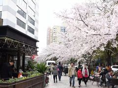 -玛格萝妮比萨屋(四平店)